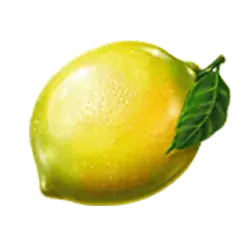 icon 10