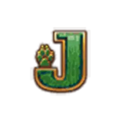 icon 8