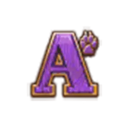 icon 5