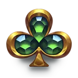 icon 9