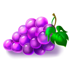 icon 5