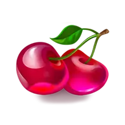 icon 9