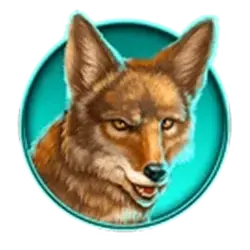 icon 5