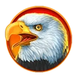 icon 3