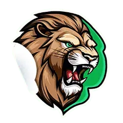 icon 1