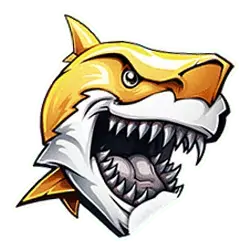 icon 4