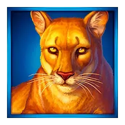 icon 6