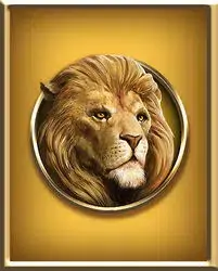 icon 3