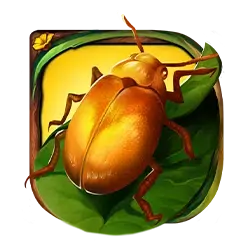 icon 6