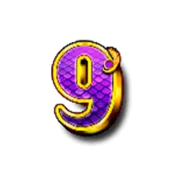 icon 12