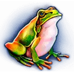 icon 4