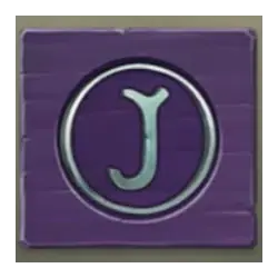 icon 9