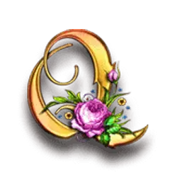 icon 10