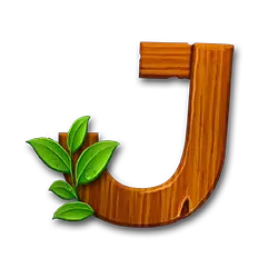 icon 9