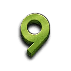 icon 13