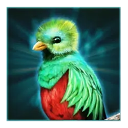 icon 4