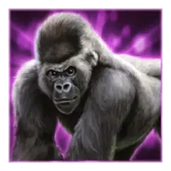 icon 2