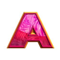 icon 5