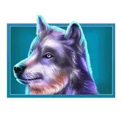 icon 4